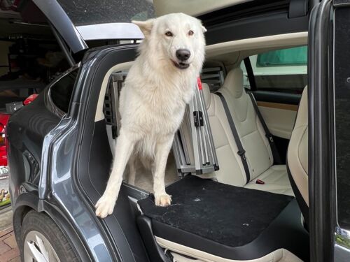 Gefahrloser Ausstieg nach vorne rechts