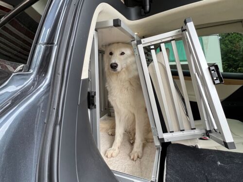 Genügend Höhe damit der Hund aufrecht sitzen kann